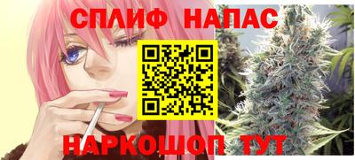 прущие грибы Гусиноозёрск